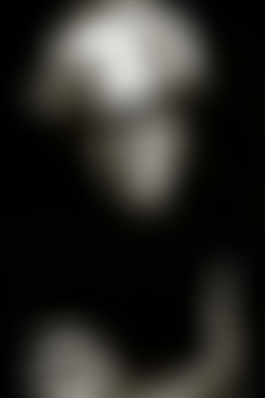Augustinxx, Homme, 64 ans, Comines-Warneton (2)